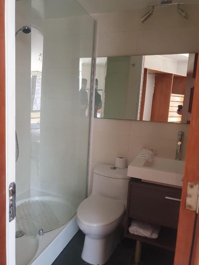 Apartament Departamento En Providencia Cerca Del Costanera Center Santiago de Chile Zewnętrze zdjęcie